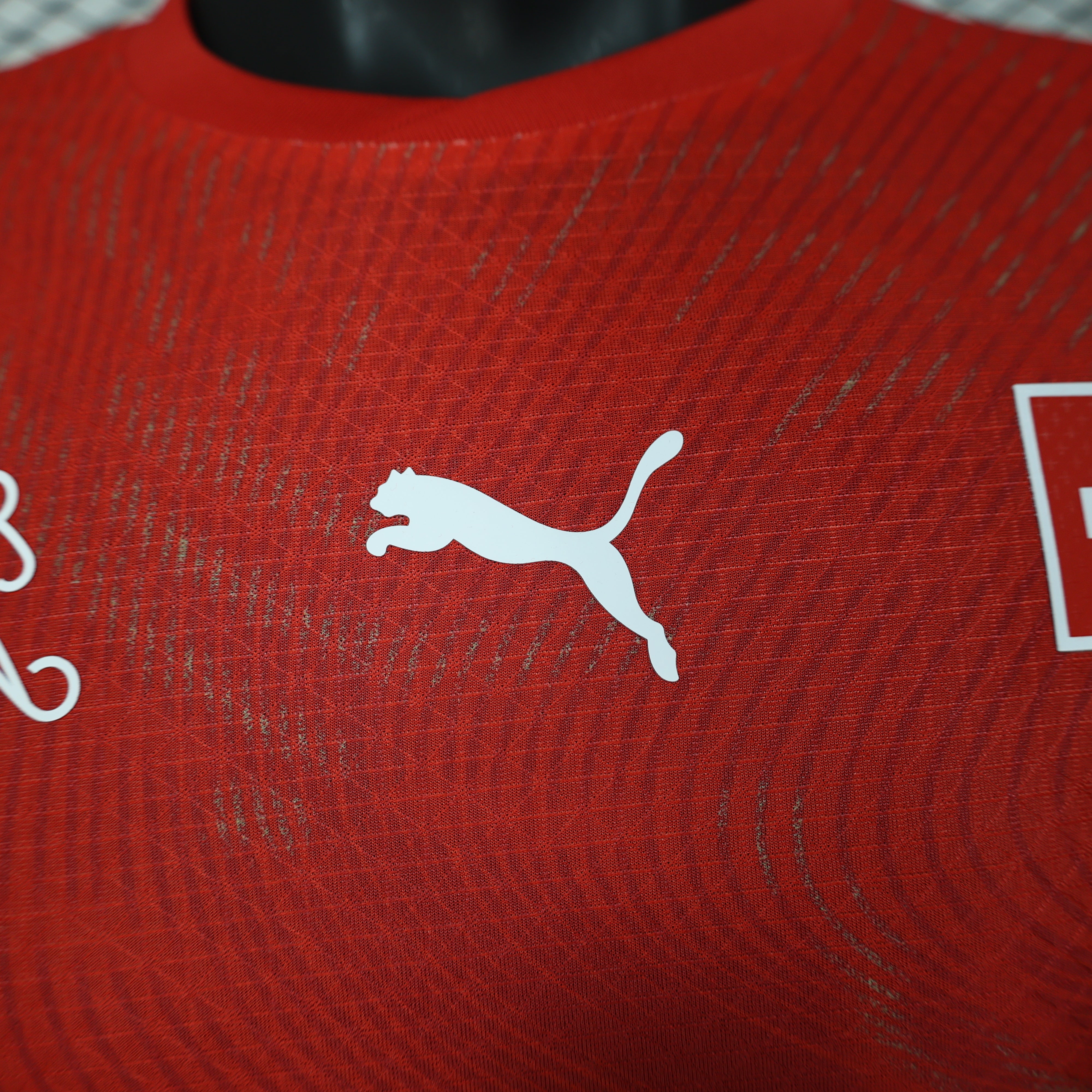 Switzerland Home