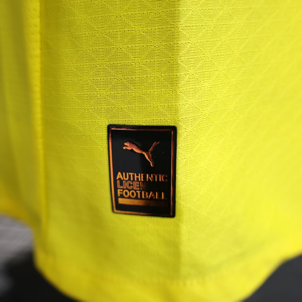 BVB Dortmund Home 25/26